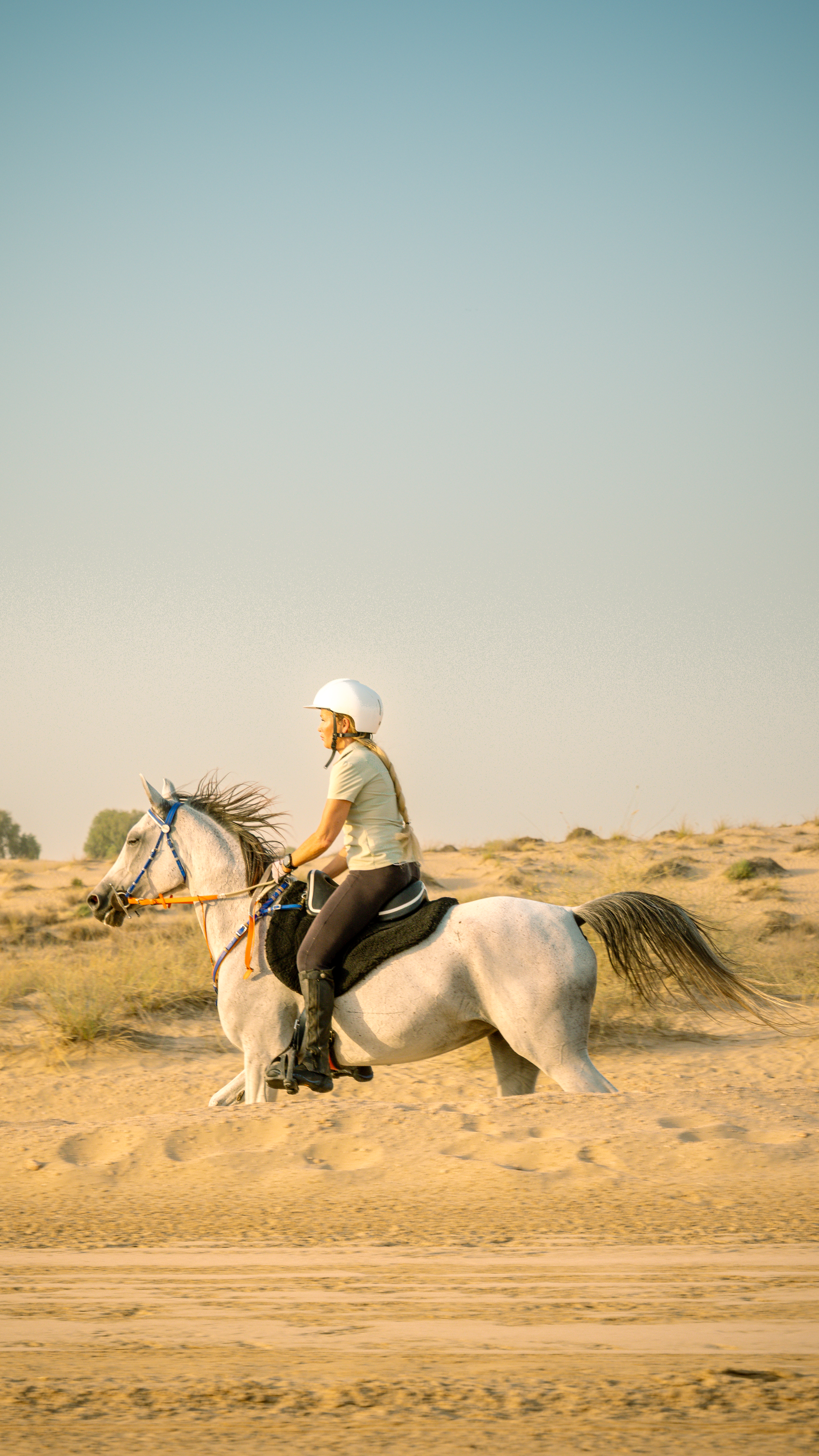 Dubai Desert Gallery Image 2