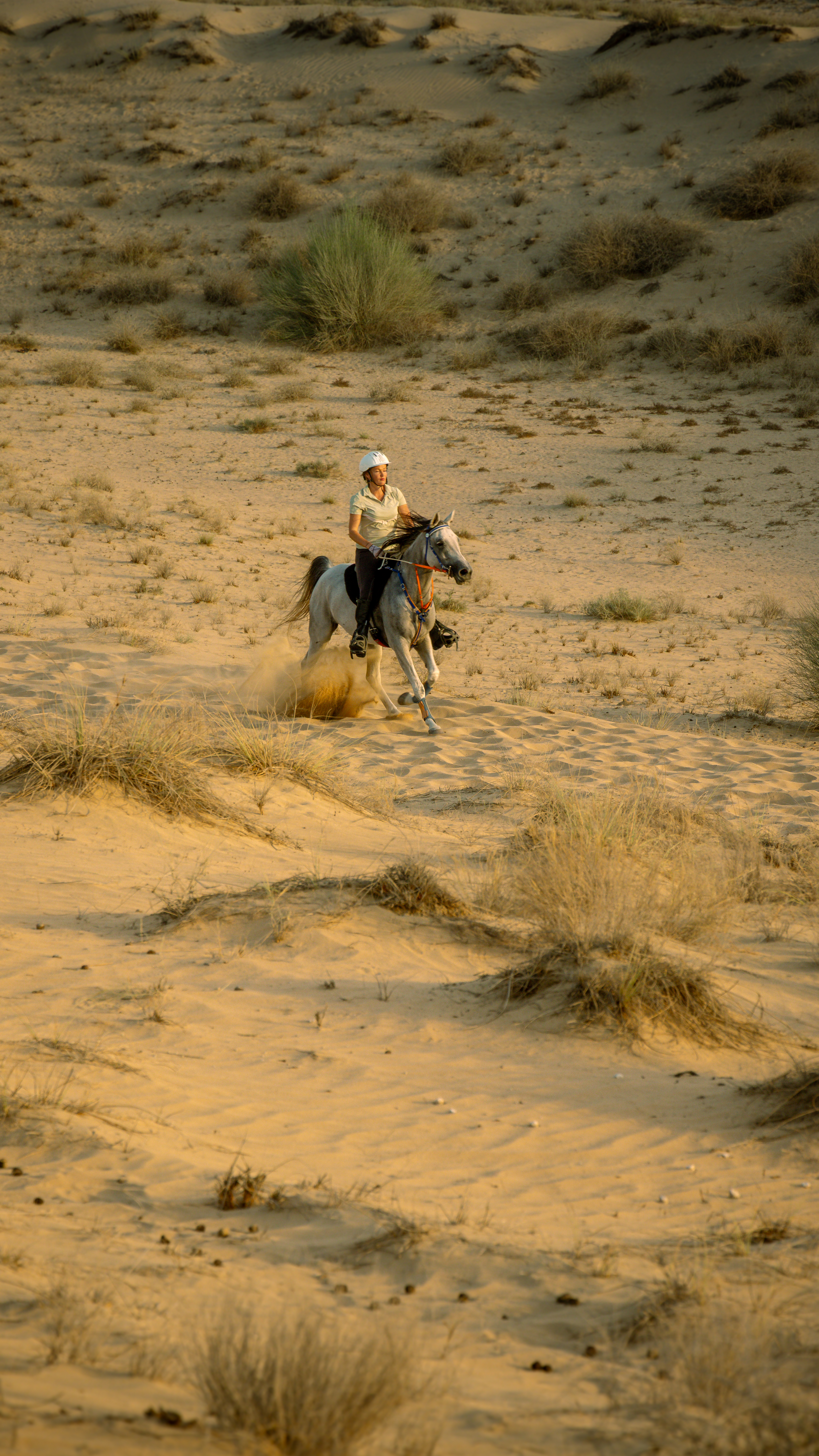  Dubai Desert Gallery Image 3