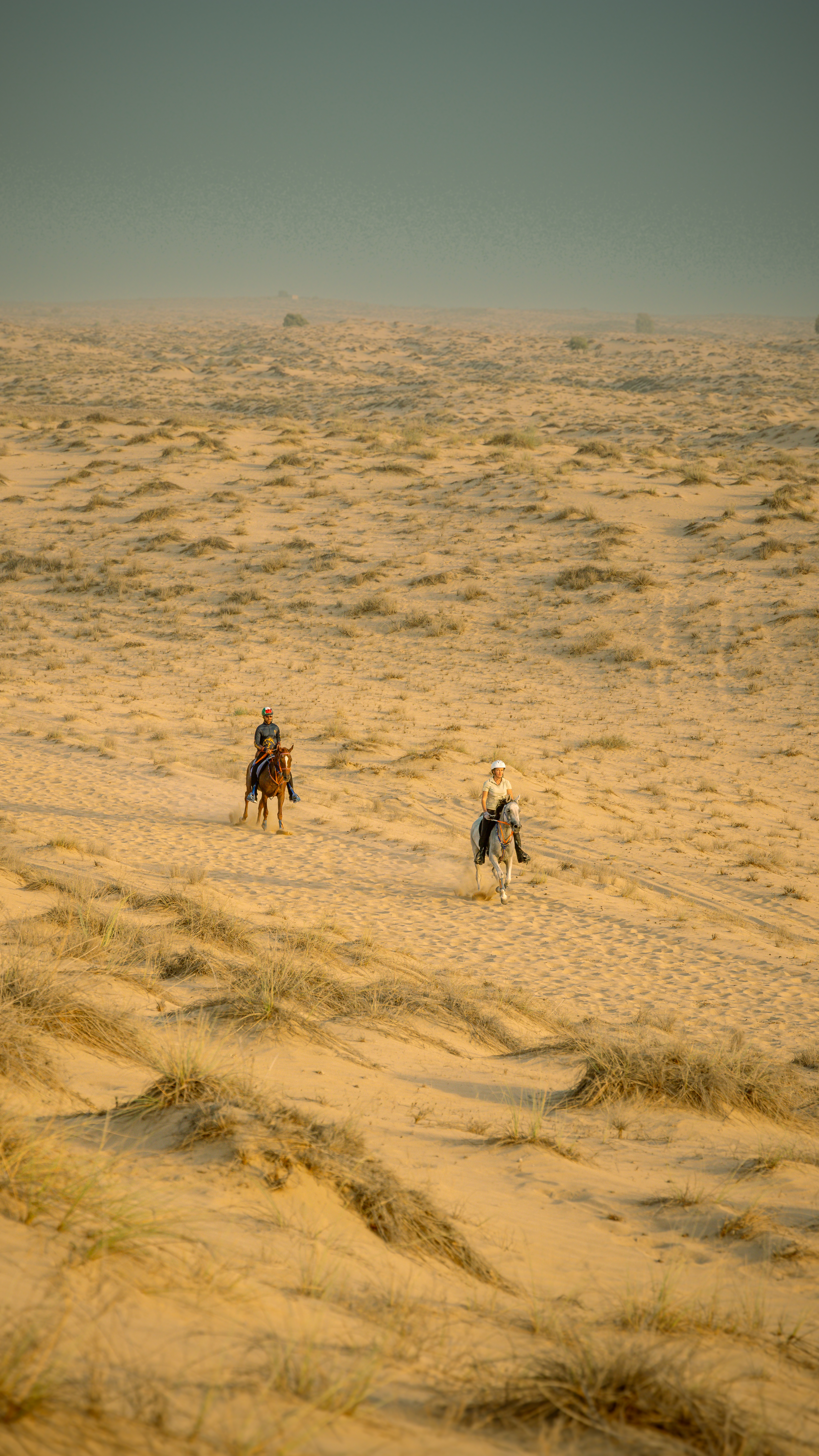  Dubai Desert Gallery Image 4