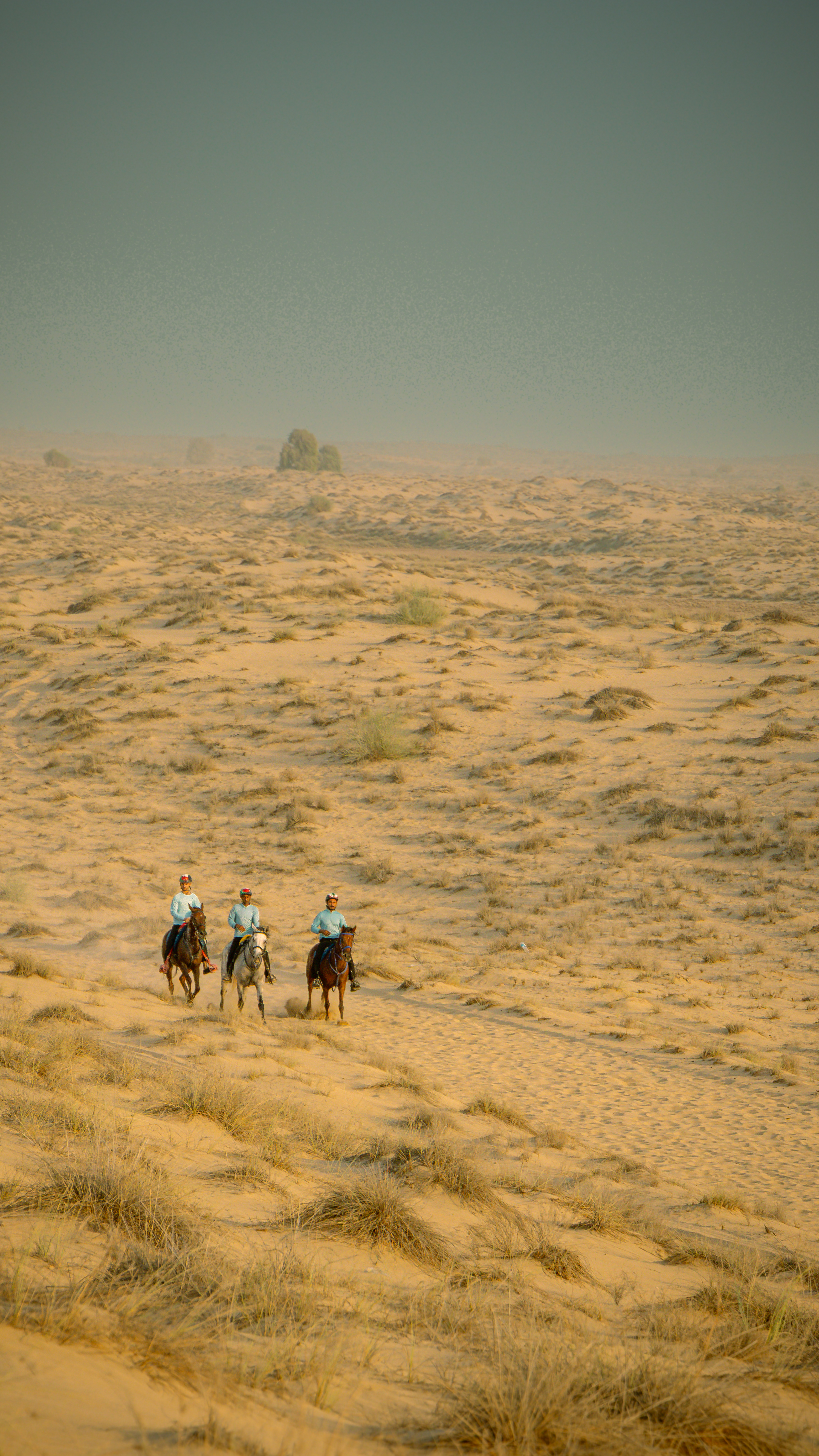  Dubai Desert Gallery Image 4