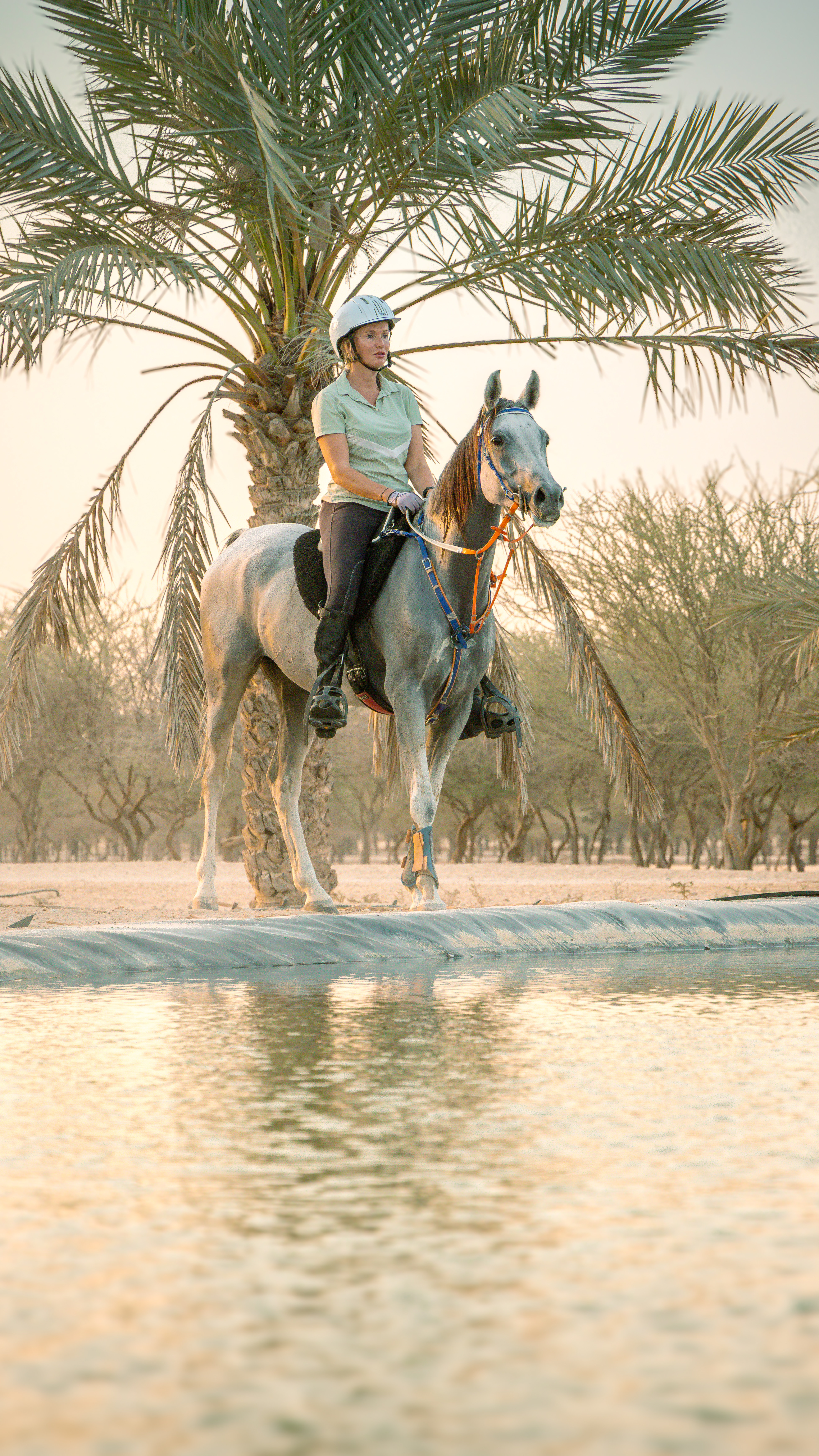  Dubai Desert Gallery Image 2