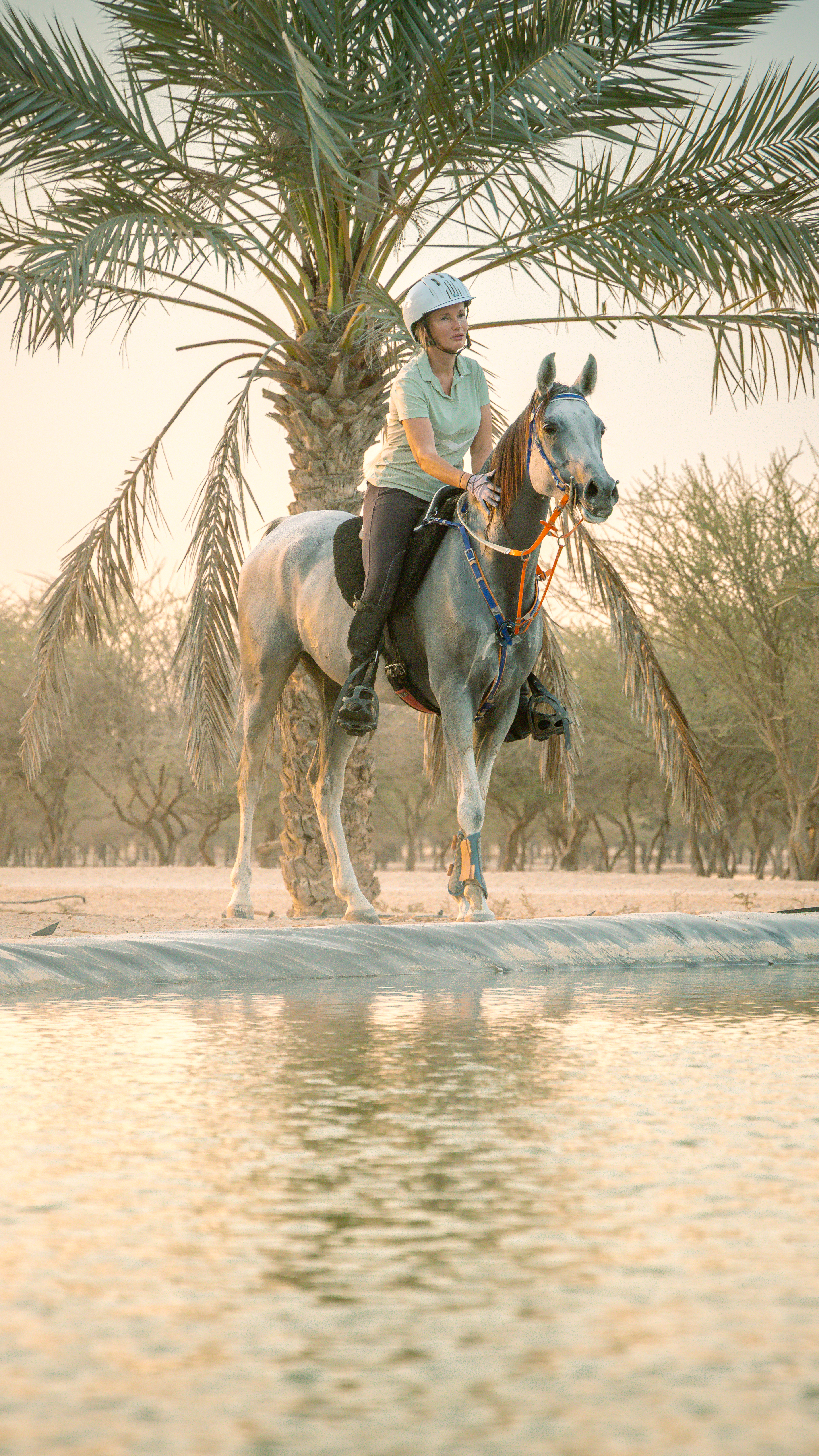  Dubai Desert Gallery Image 3