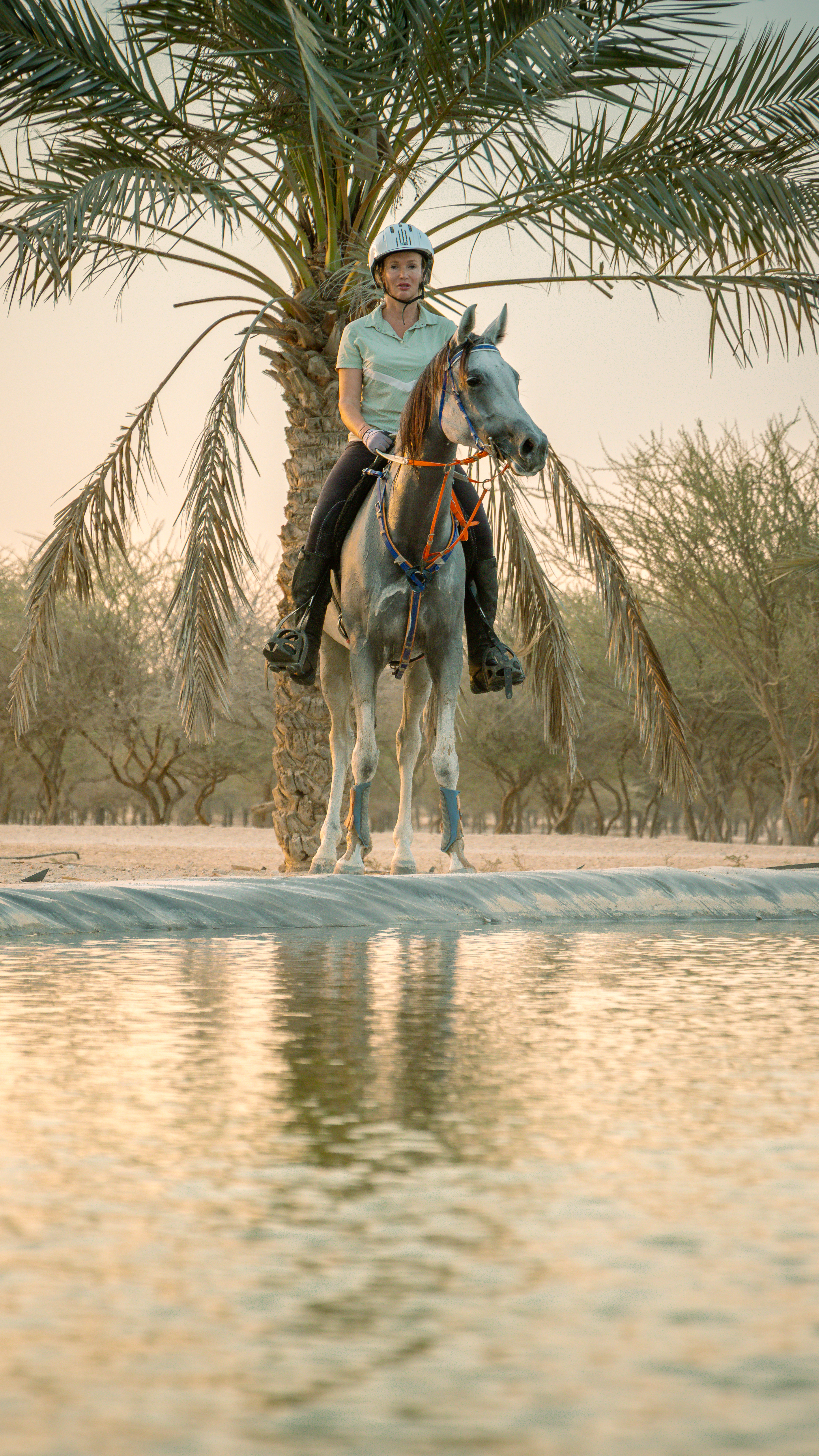  Dubai Desert Gallery Image 4