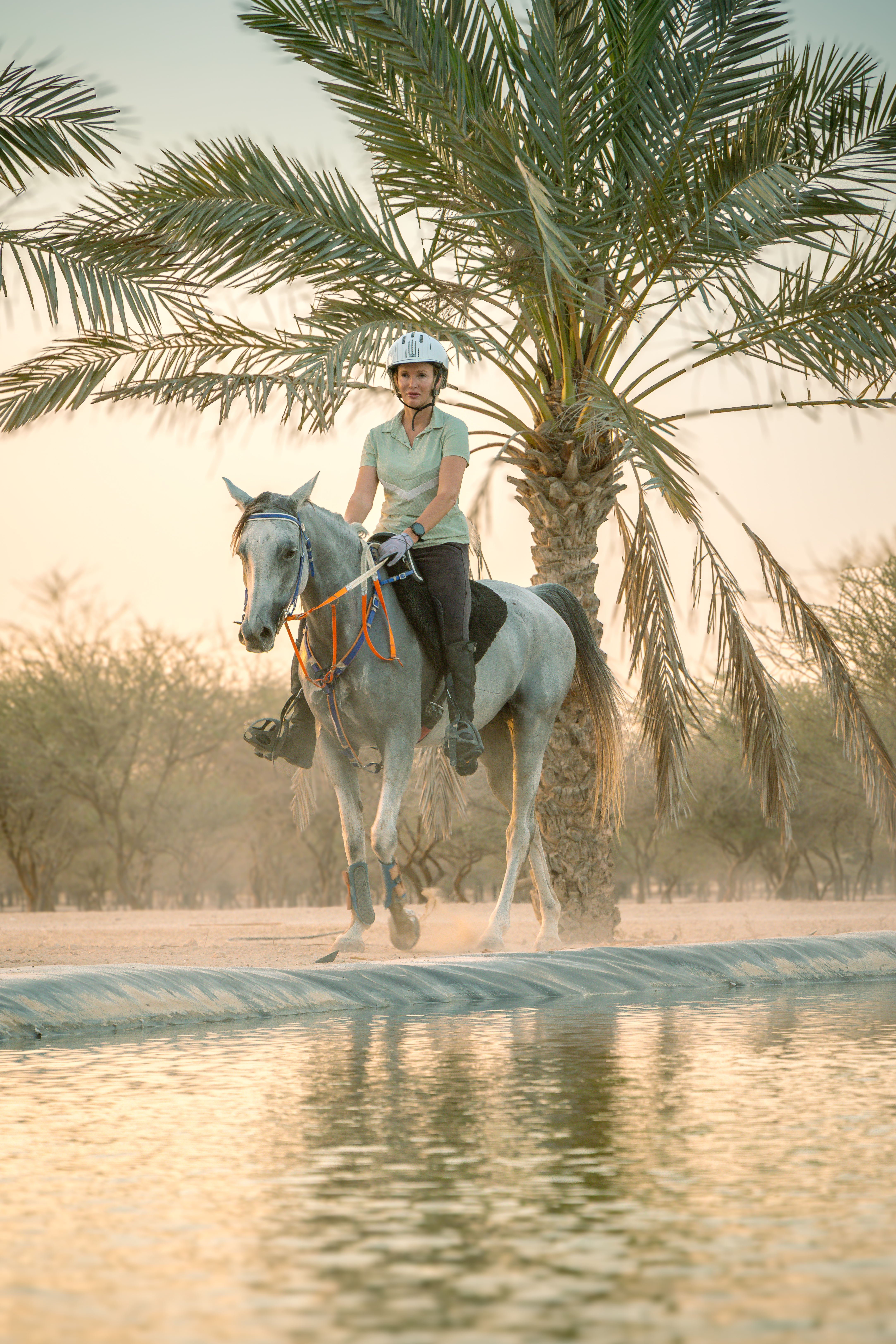  Dubai Desert Gallery Image 6