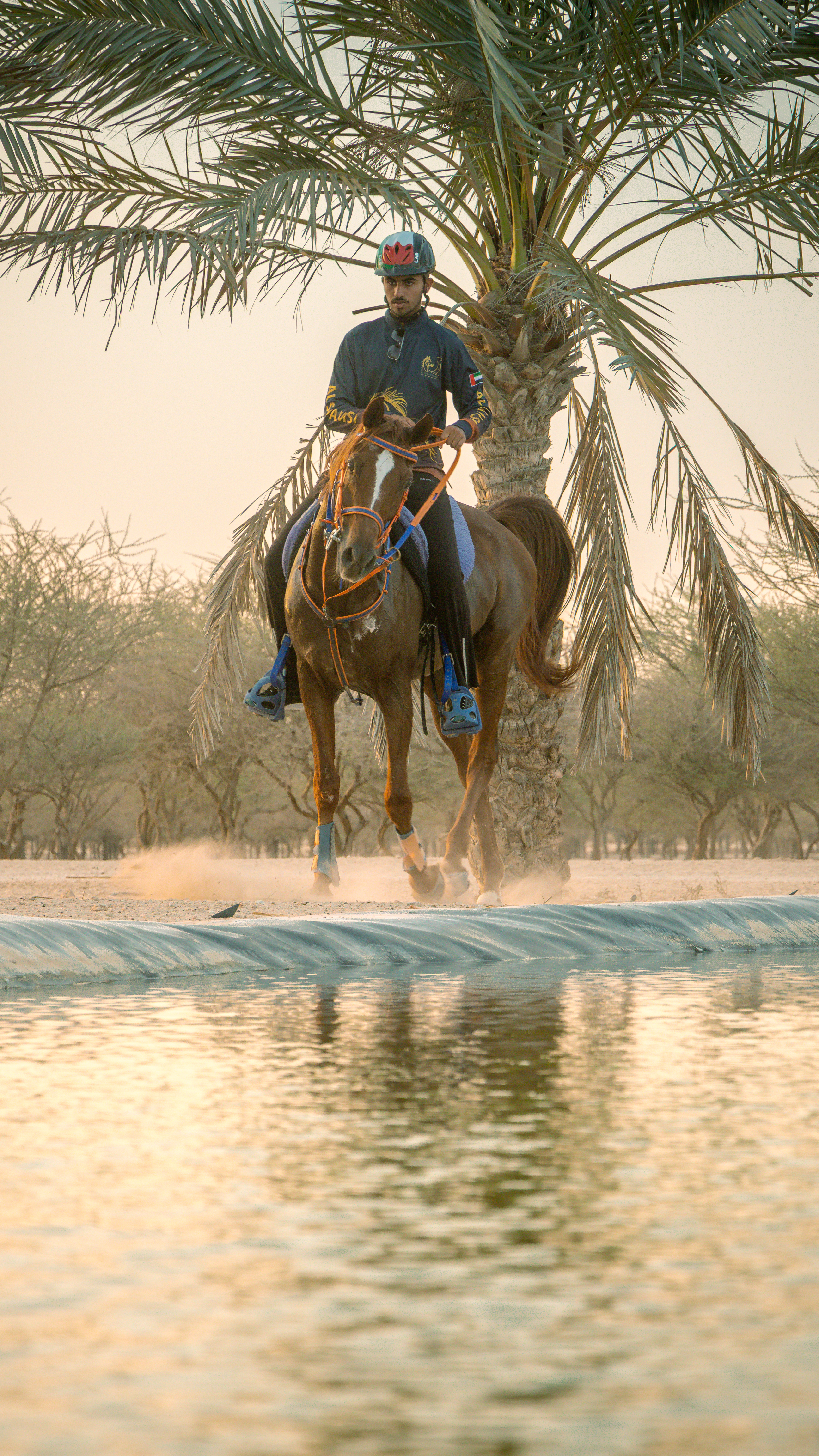  Dubai Desert Gallery Image 7