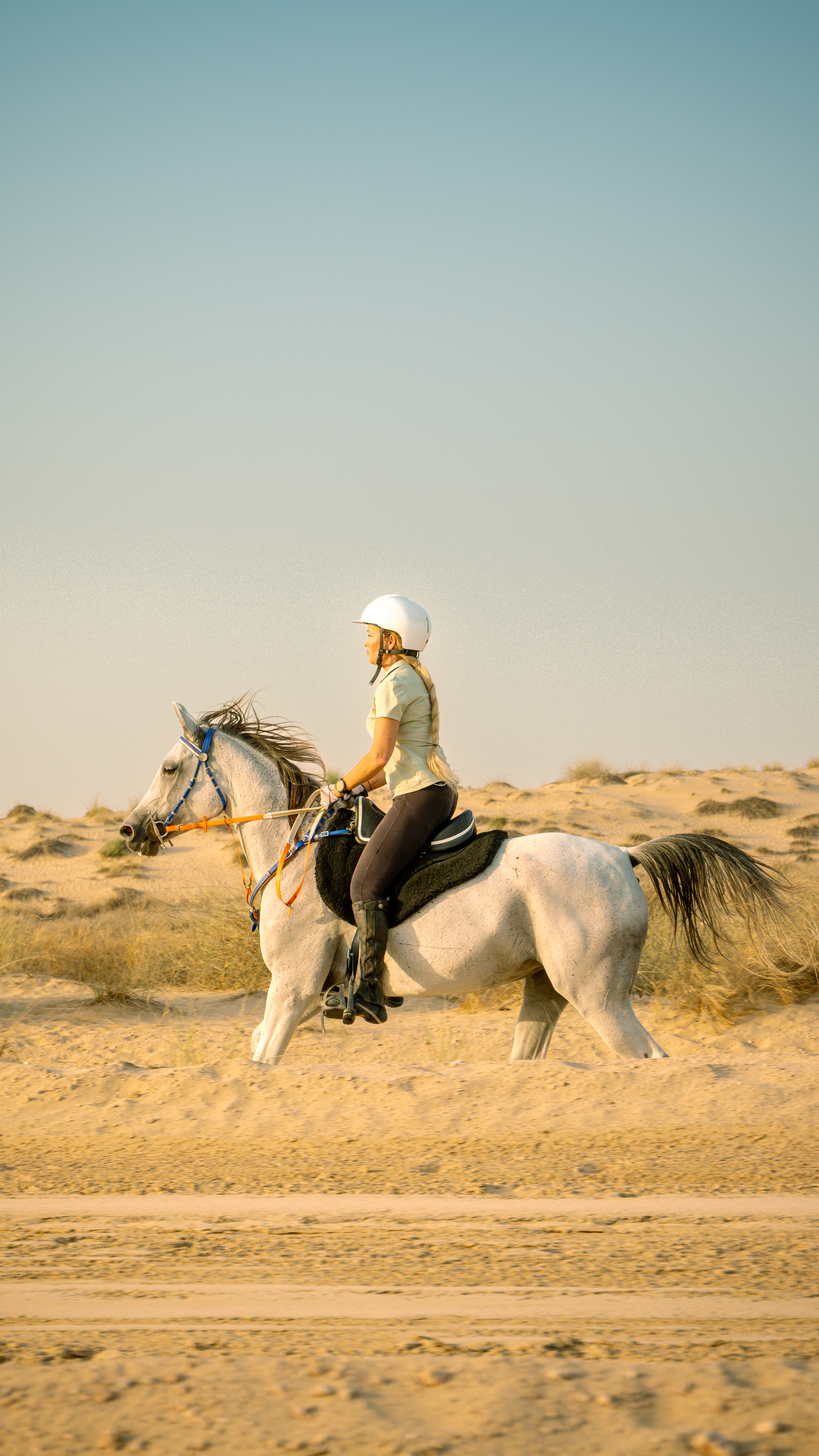  Dubai Desert About Image 3